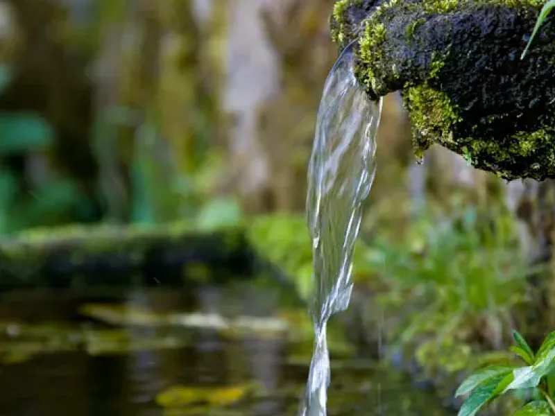 Nos activitées dans le Cantal