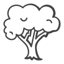 espace arboré