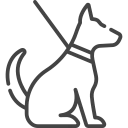 animaux